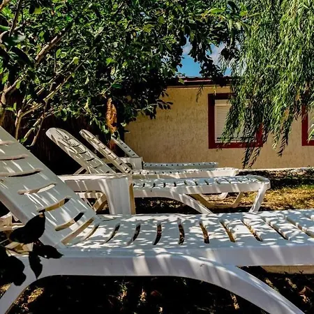 Vila Bucuria Villa *